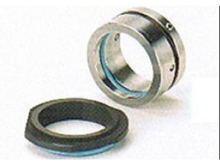 Gleitringdichtung Johnson